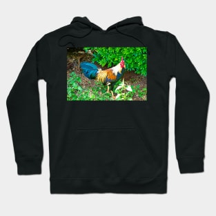 Wailuku Resident Hoodie